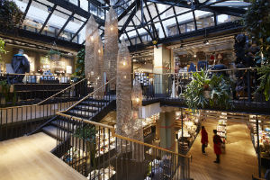 © Nature & Découvertes - Nature & Découvertes Le Marais (Architecte Michel Kazis – Architecte d’Intérieur Saguez & Partners). 