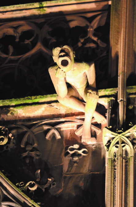 ©Vincent Laganier - Cathédrale Notre-Dame de Strasbourg