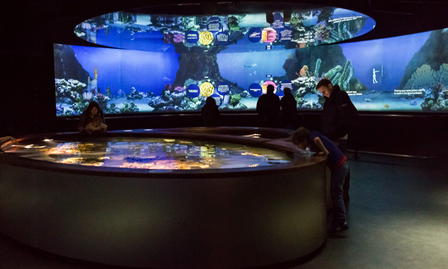Immersion au cœur de la Cité de la Mer, Cherbourg