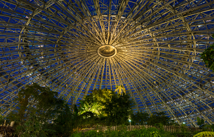 Lumières apprivoisées au zoo de Beauval