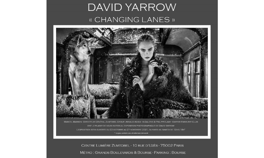 David Yarrow "Changing Lanes", au showroom de Zumtobel
