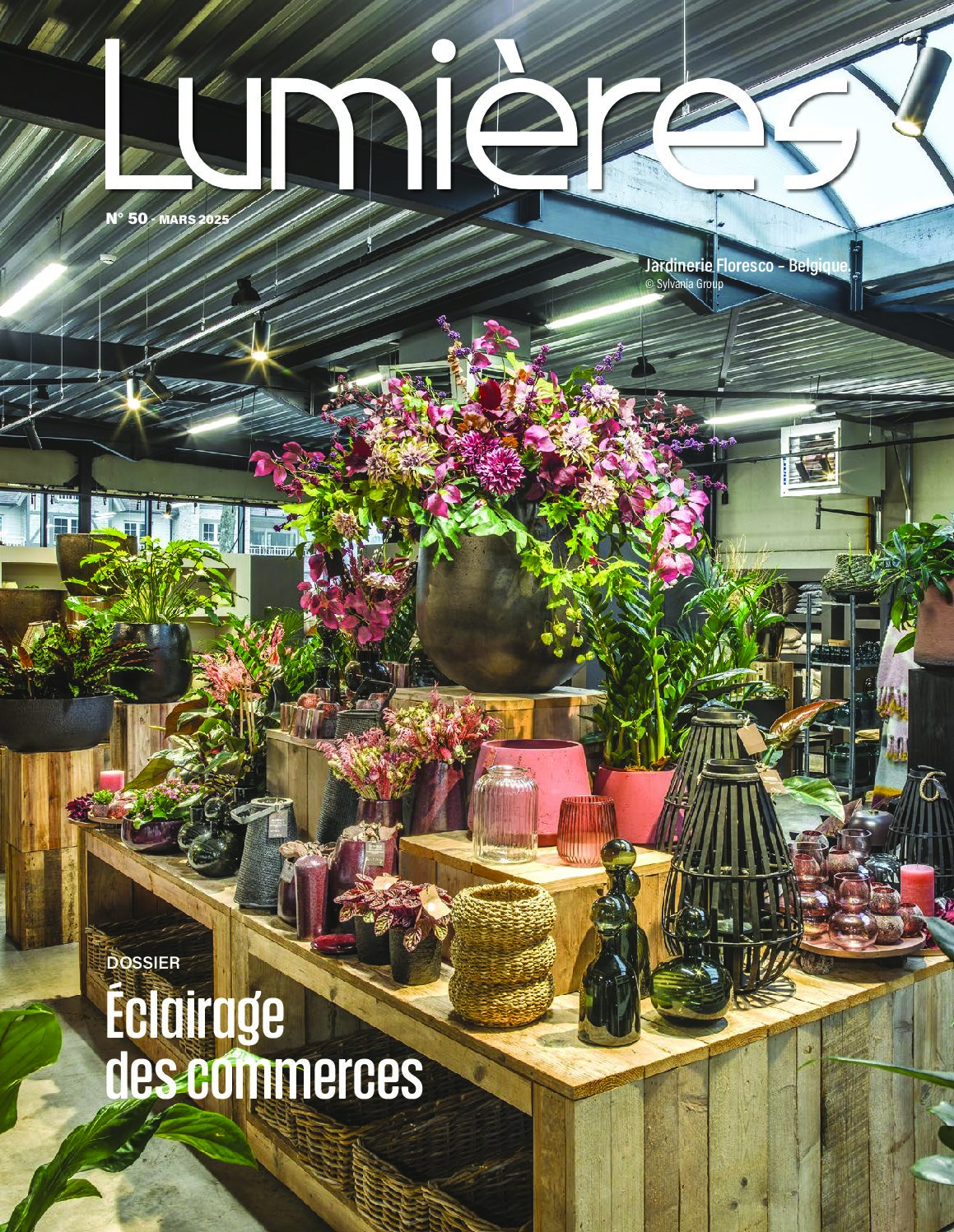 Lumières N°50